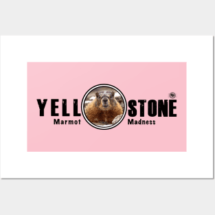 Marmot Madness, Yellowstone National Park Posters and Art